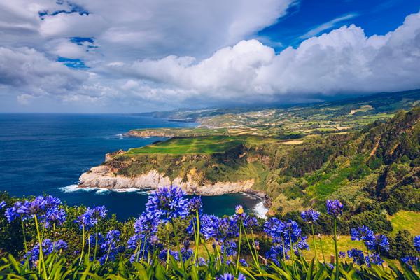 Photo de Sao Miguel Ribeira Grande