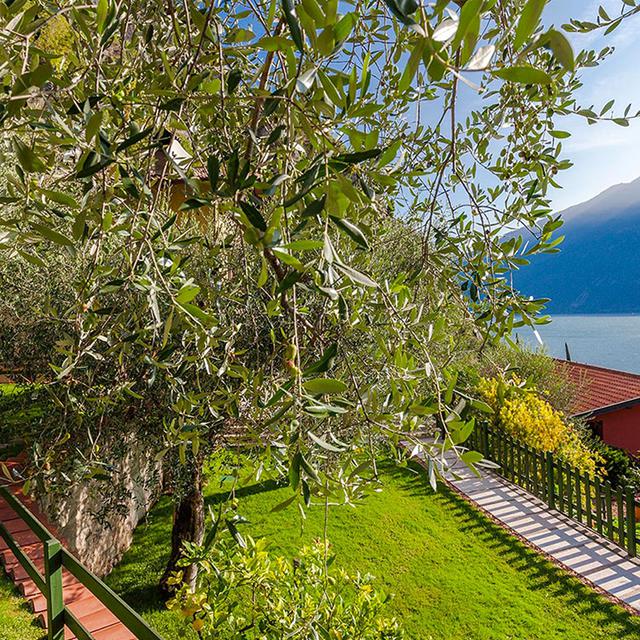 Hôtel La Gardenia & Villa Oleandra photo 26