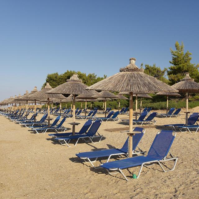 Hôtel Blue Dolphin photo 10