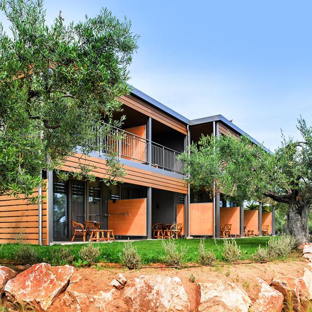 Hôtel Blue Dolphin photo 13