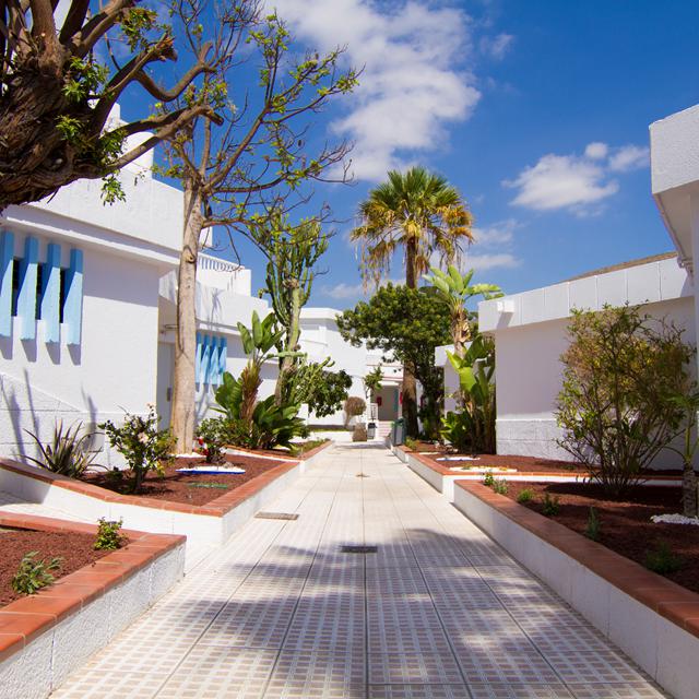 Checkin Bungalows Atlantida photo 5