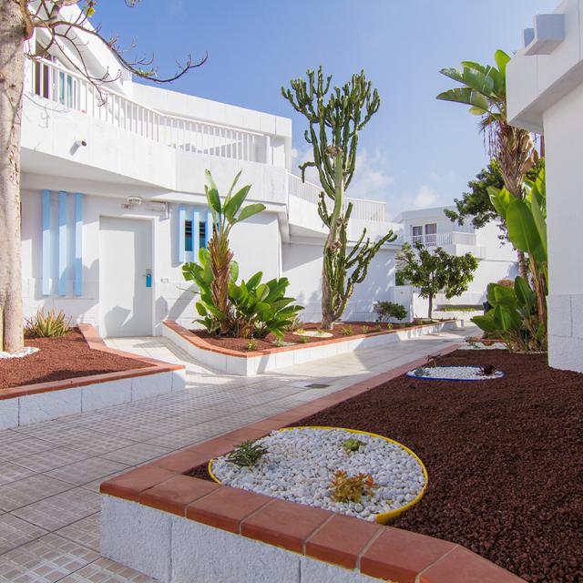Checkin Bungalows Atlantida photo 6