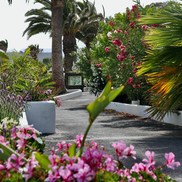 Casas Heddy photo 29