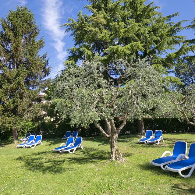 Hôtel Palme & Suite photo 13