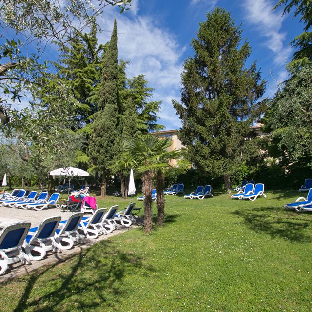 Hôtel Palme & Suite photo 14