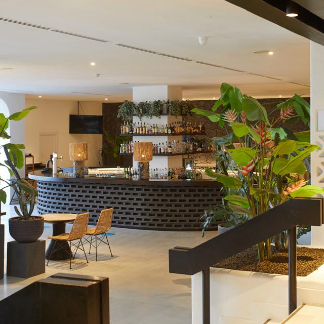 Hôtel Jardin Tropical photo 23