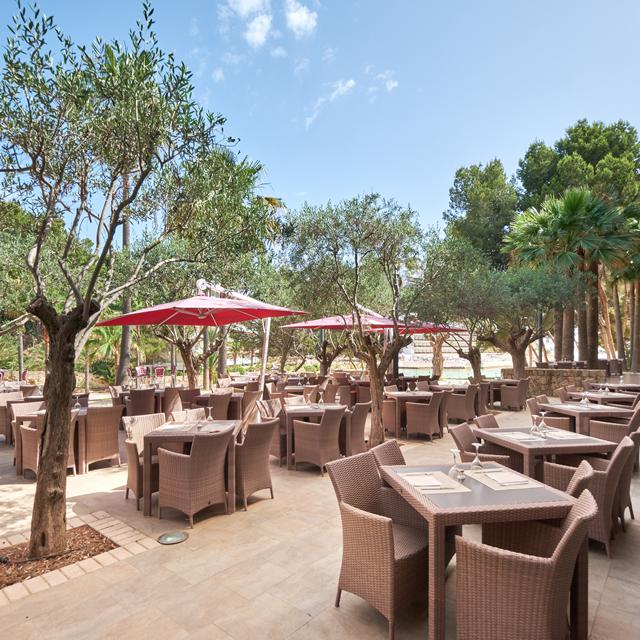 Hôtel Occidental Cala Vinas photo 16
