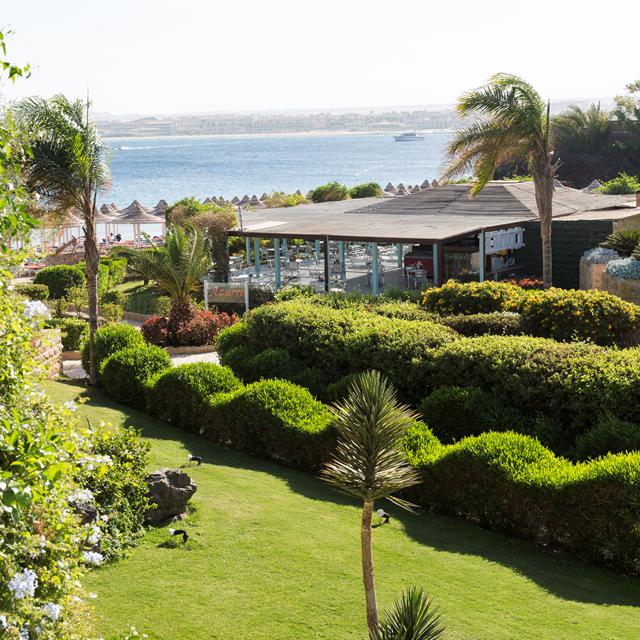 Hôtel Prima Life Makadi Resort & Spa photo 13