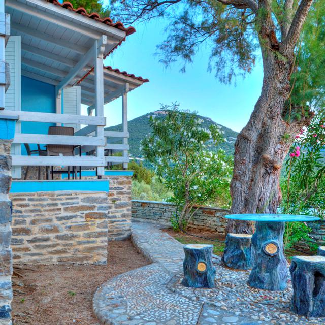 Venus Beach Hotel photo 8