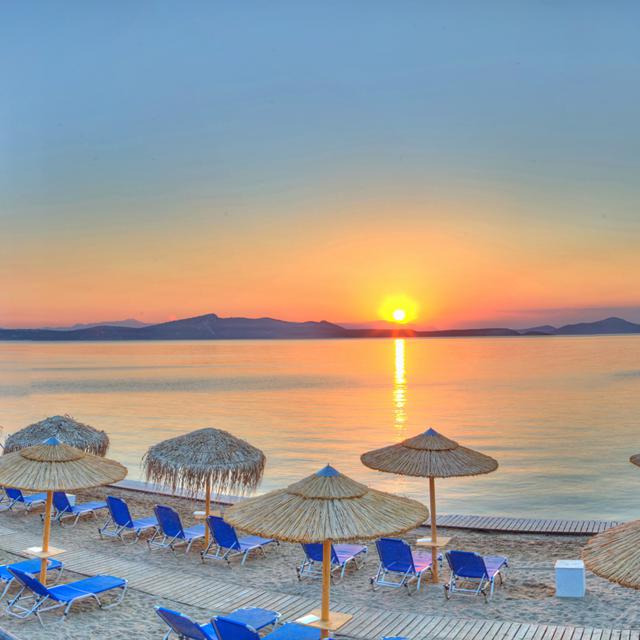 Venus Beach Hotel photo 35