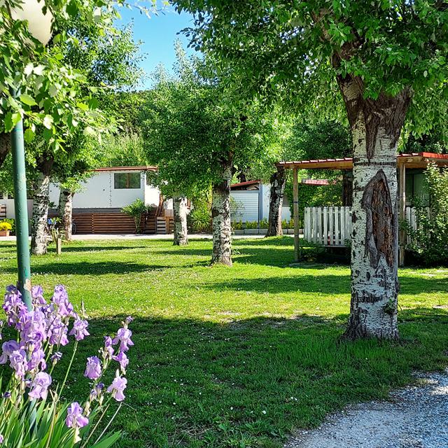 Camping Marina 3B photo 11