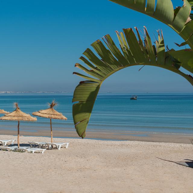 Iberostar Selection Kuriat Palace photo 23