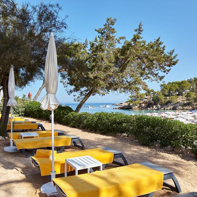 Hotel Sandos El Greco - réservé aux adultes photo 15