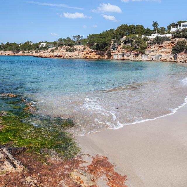 Sol Bahia Ibiza Suites photo 8
