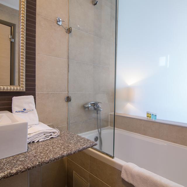 Hôtel Flegra Palace photo 18