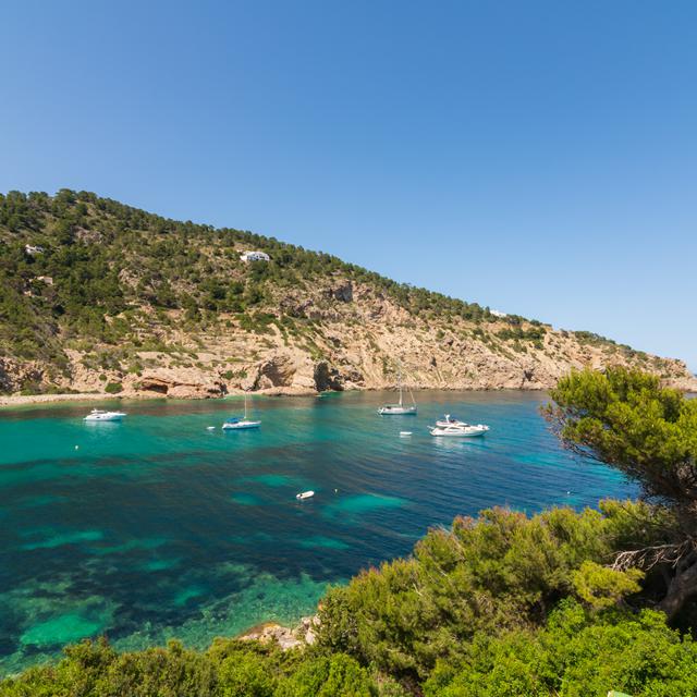 Palladium Hôtel Cala Llonga photo 1