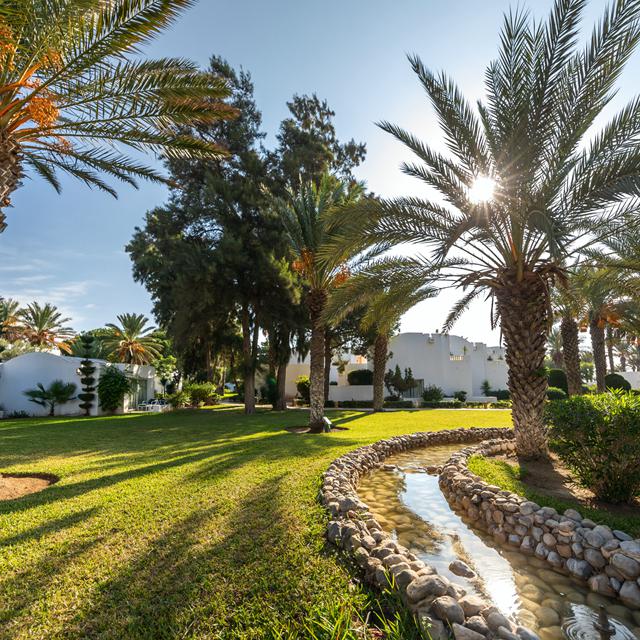 Hôtel Steigenberger Marhaba Thalasso Hammamet photo 11