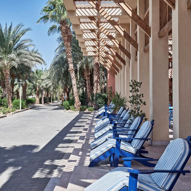 Hôtel Steigenberger Golf Resort photo 26