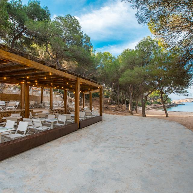Iberostar Waves Club Cala Barca photo 26