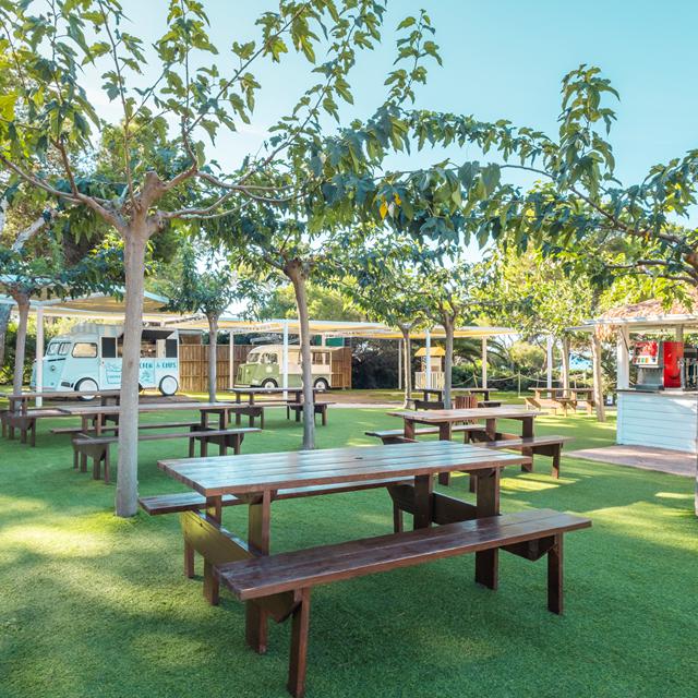 Iberostar Waves Club Cala Barca photo 15