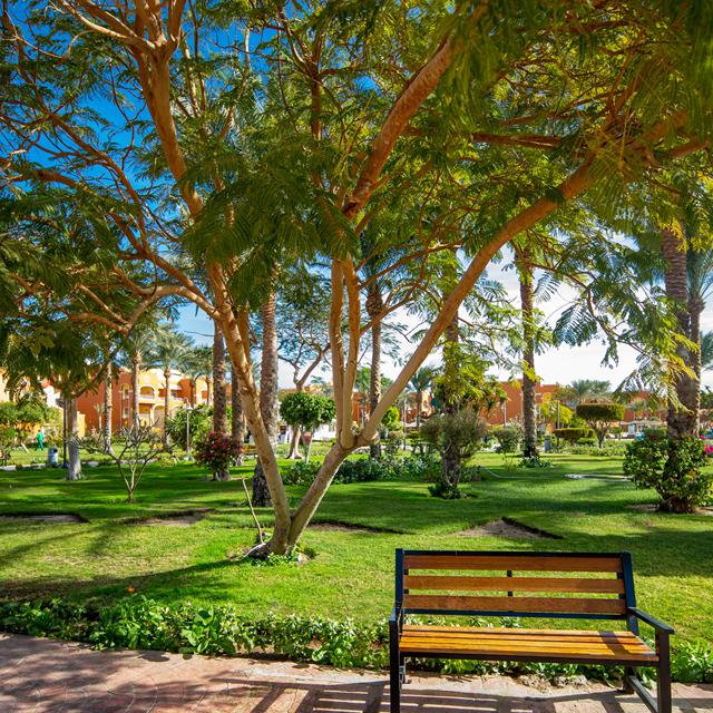 Hôtel Sentido Caribbean Soma Bay photo 17