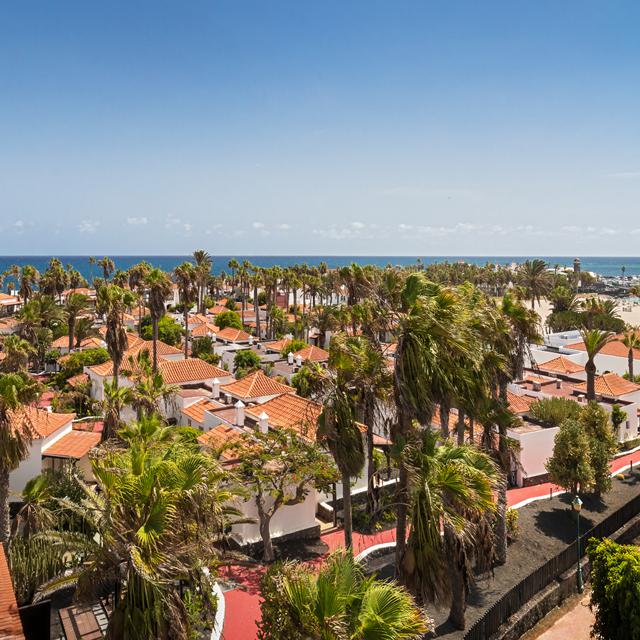 Hôtel Barcelo Fuerteventura Royal Level - Réservé aux adultes photo 11