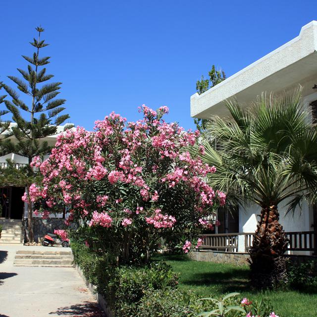 Hôtel Valley Village photo 22