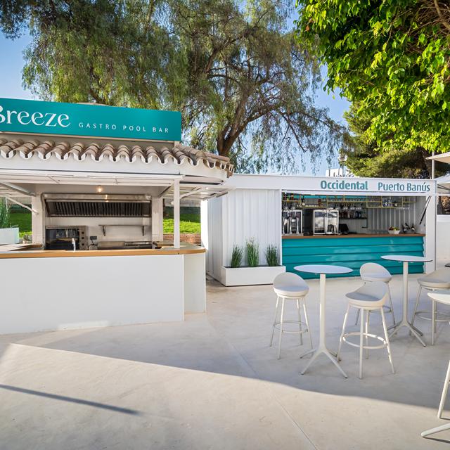 Hôtel Occidental Puerto Banus photo 15