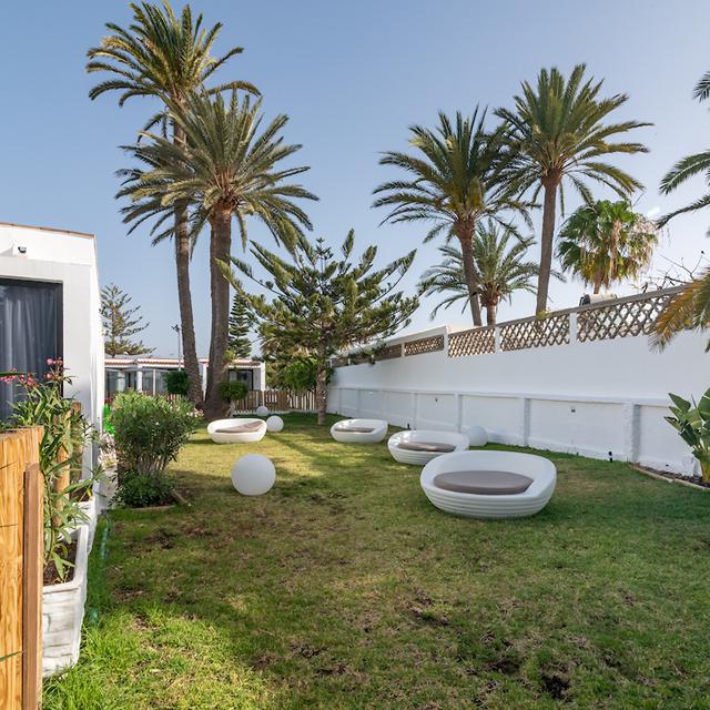 Bungalows Todoque - Réservé aux adultes photo 9