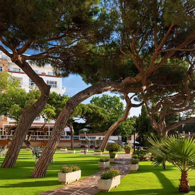 Hôtel htop Caleta Palace photo 22