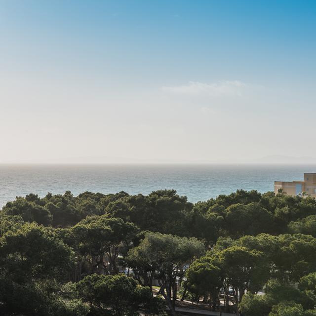 Iberostar Selection Llaut Palma - Réservé aux adultes photo 25