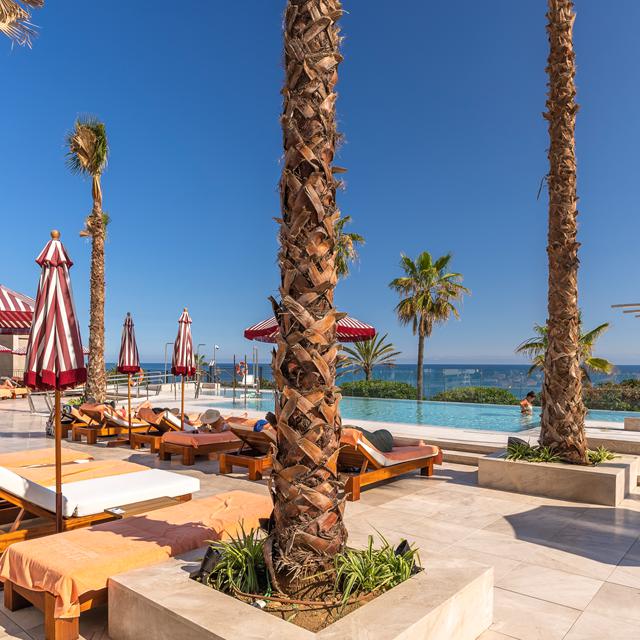 Hôtel El Fuerte Marbella photo 10