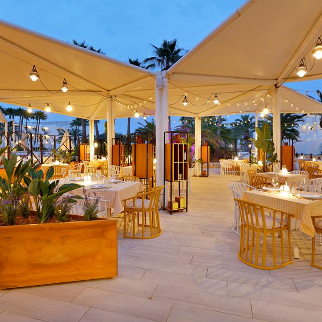 Grand Palladium Select Palace Ibiza photo 3
