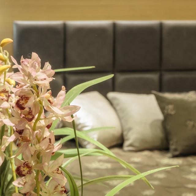 Appartements Albatros photo 10