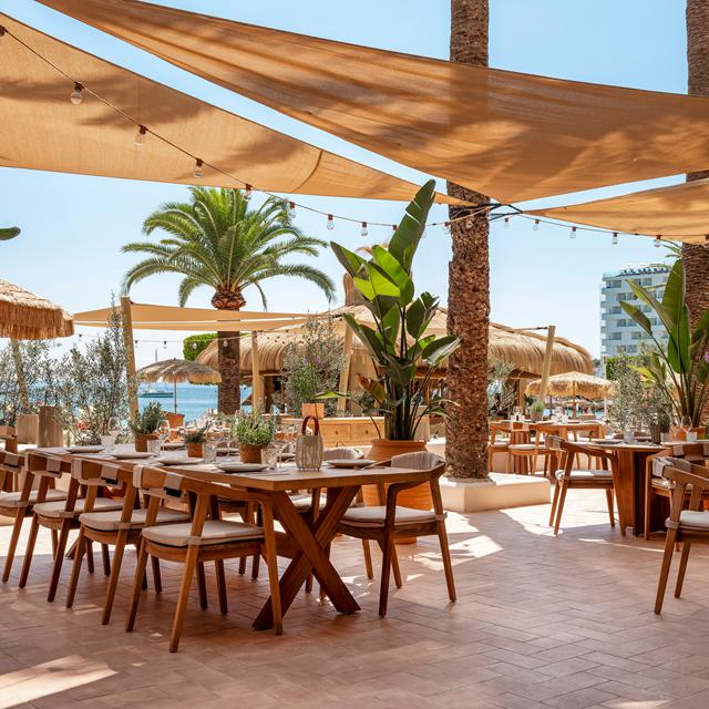 Zel Mallorca photo 7