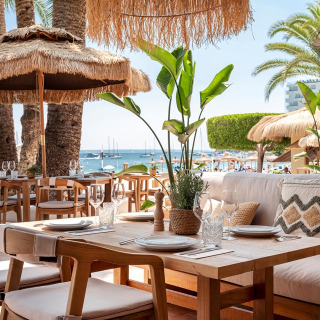 Zel Mallorca photo 6