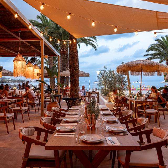 Zel Mallorca photo 5