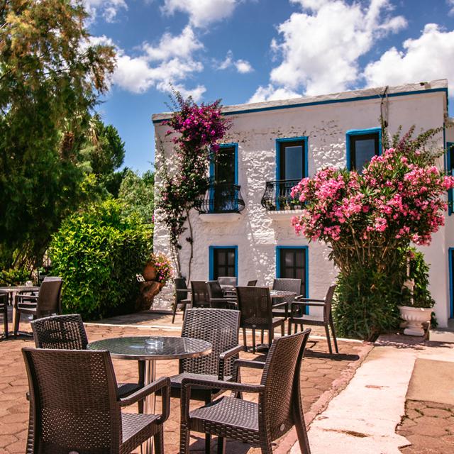 Hôtel Club Muskebi photo 3