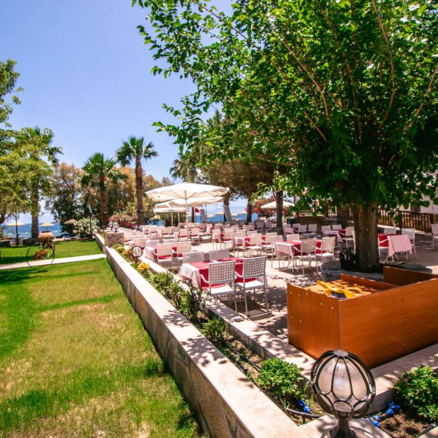 Hôtel Club Muskebi photo 6