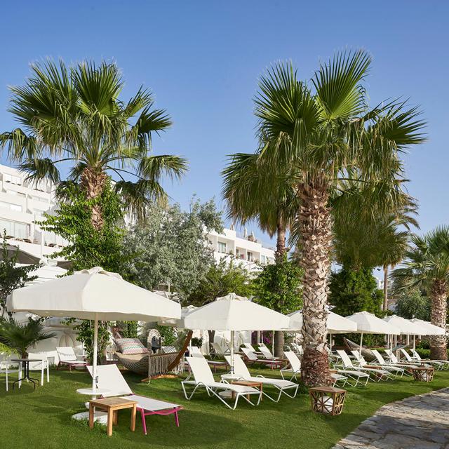 Hôtel Prive Bodrum - Réservé aux adultes photo 11