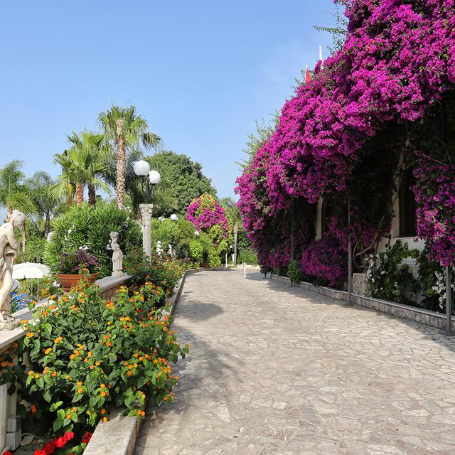 Hôtel Sant Alphio Garden & Spa photo 14