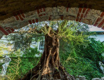 Hotel Kriopigi Beach - all inclusive photo 11