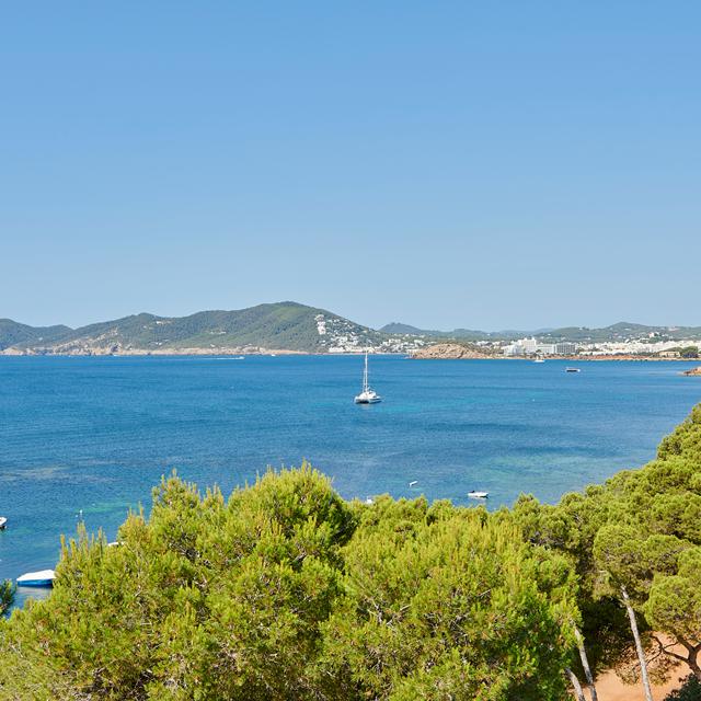 Iberostar Selection Santa Eulalia - adults only photo 14