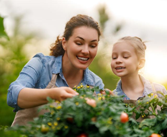 Petrino Eco Village photo 11