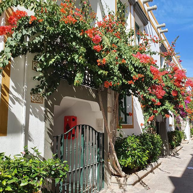 LIVVO Puerto de Mogán (ex: Billy's Puerto de Mogán by LIVVO) photo 8