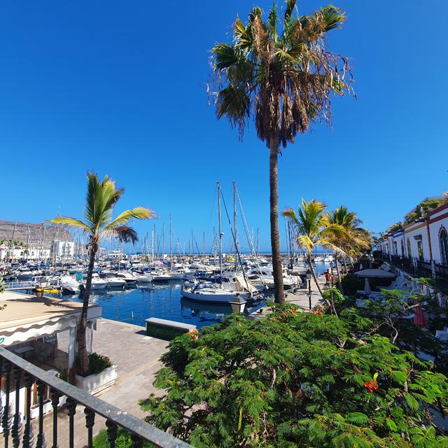 LIVVO Puerto de Mogán (ex: Billy's Puerto de Mogán by LIVVO) photo 29