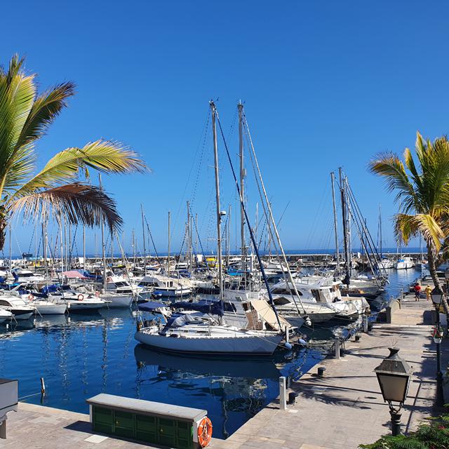 LIVVO Puerto de Mogán (ex: Billy's Puerto de Mogán by LIVVO) photo 10