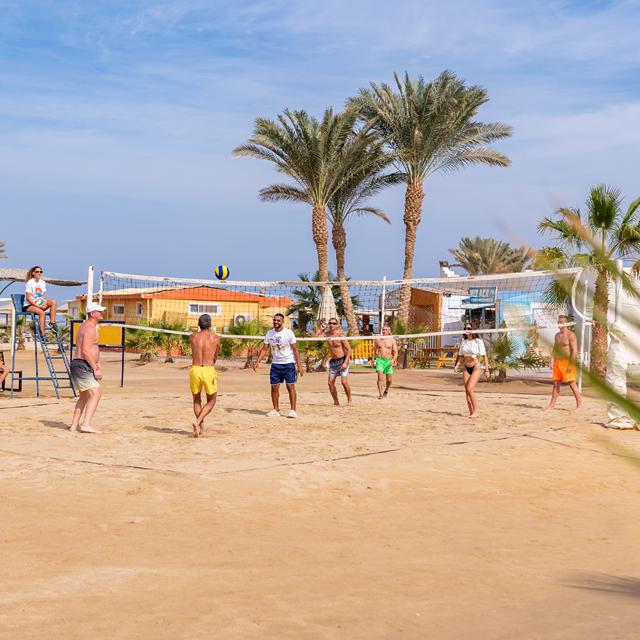 Malikia Resort Abu Dabbab photo 20