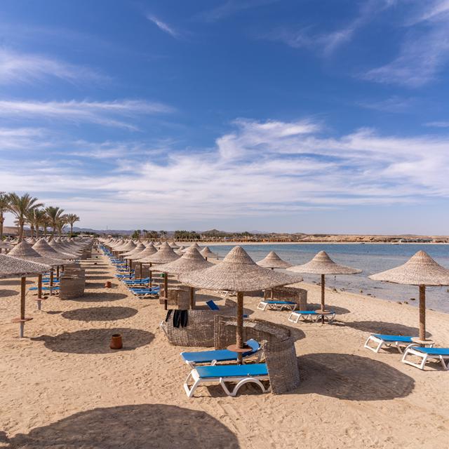 Malikia Resort Abu Dabbab photo 17