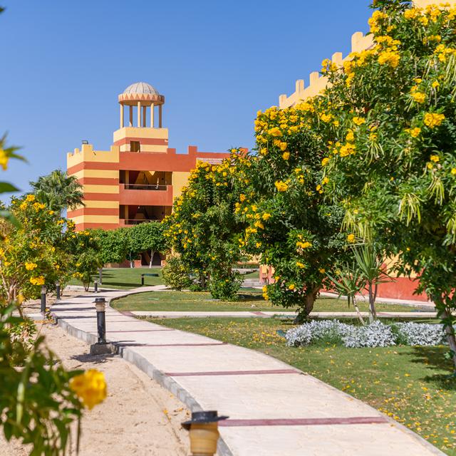 Malikia Resort Abu Dabbab photo 12